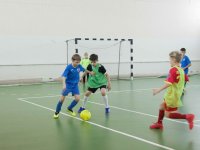 IMG_9381